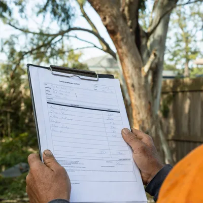 Reading a written tree removal quote on site in Townsville
