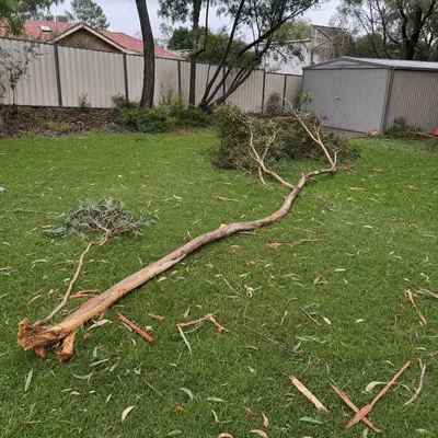 Before: Storm cleanup after a monsoonal cell, Townsville