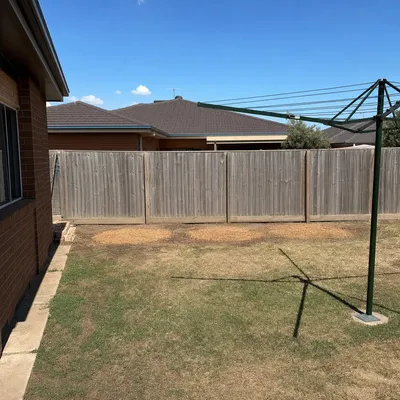After: Mature raintree removal alongside the boundary, Townsville