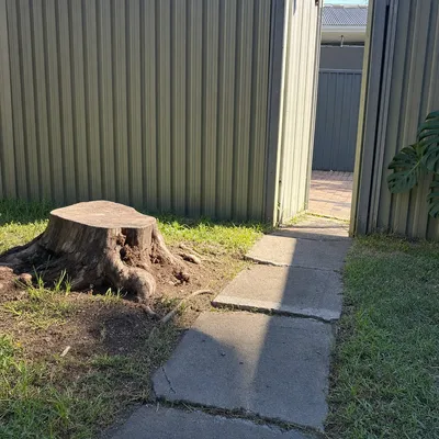 Before: Stump grind in a tight 900mm side run, Townsville