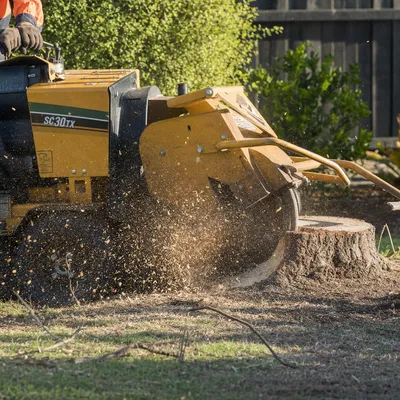 Stump Grinding in Townsville. Below-grade stump grinding so you can returf, repave or replant. Small access machines fit through narrow side gates in older 4810 blocks.