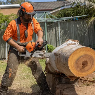 Tree Removal in Townsville. Safe sectional dismantling of dead, dying or unwanted trees of any size, from a backyard poinciana to a mature raintree leaning over the house.